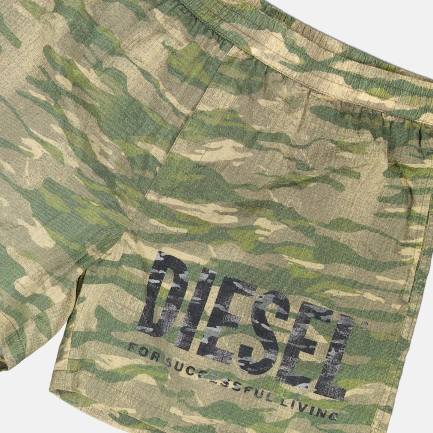 Rio-41 Swim Shorts