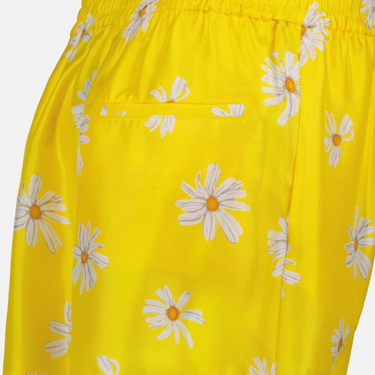Short Marguerites